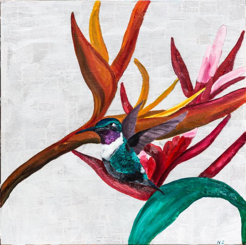 A square oil painting depicting a blue-green hummingbird amongst birds of paradise plants on a background of whitewashed newspaper.