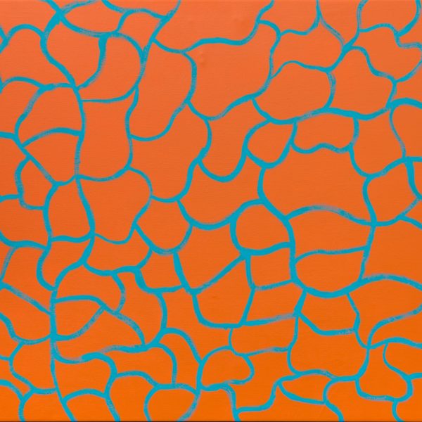 Abstract art of blue lines in almost scale-like pattern on an orange background