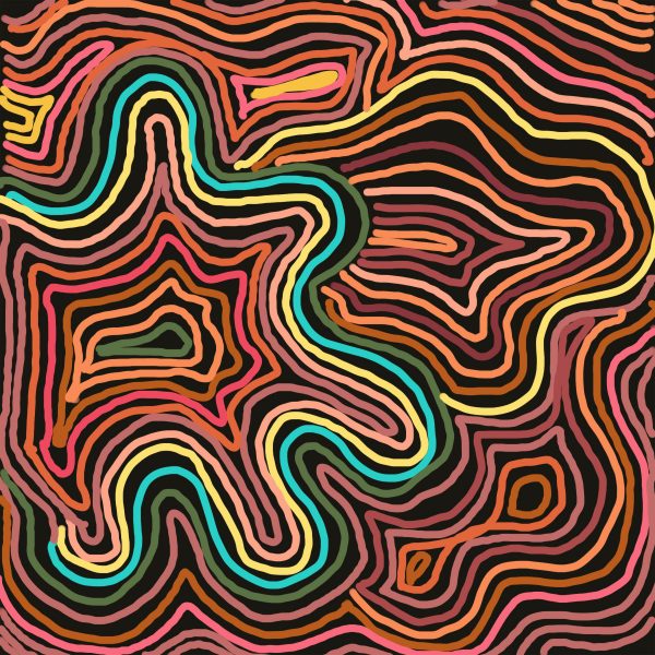 Abstract artwork featuring nests of curved lines in various colours