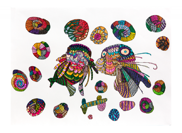 Colourful illustration of sealions