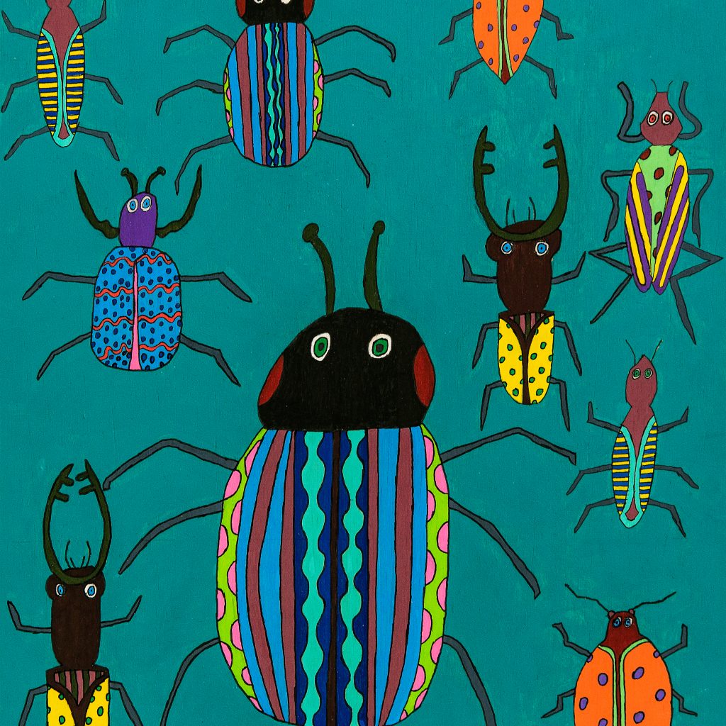 Ten beetles against a teal solid background. The beetles have different patterns and colours on their shell, there is a large beetle in the middle.