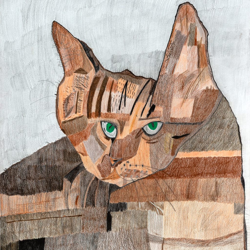 A cat with piercing green eyes staring at the viewer. The cat is different tones of brown represented by lots of patches of colours.