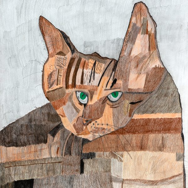Cat Portrait