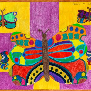 Coloured pencil drawing of five butterflies, all with bright and varying patterned. There is a large butterfly in the centre surrounded by smaller ones. Behind the butterflies is a purple and yellow checked background.