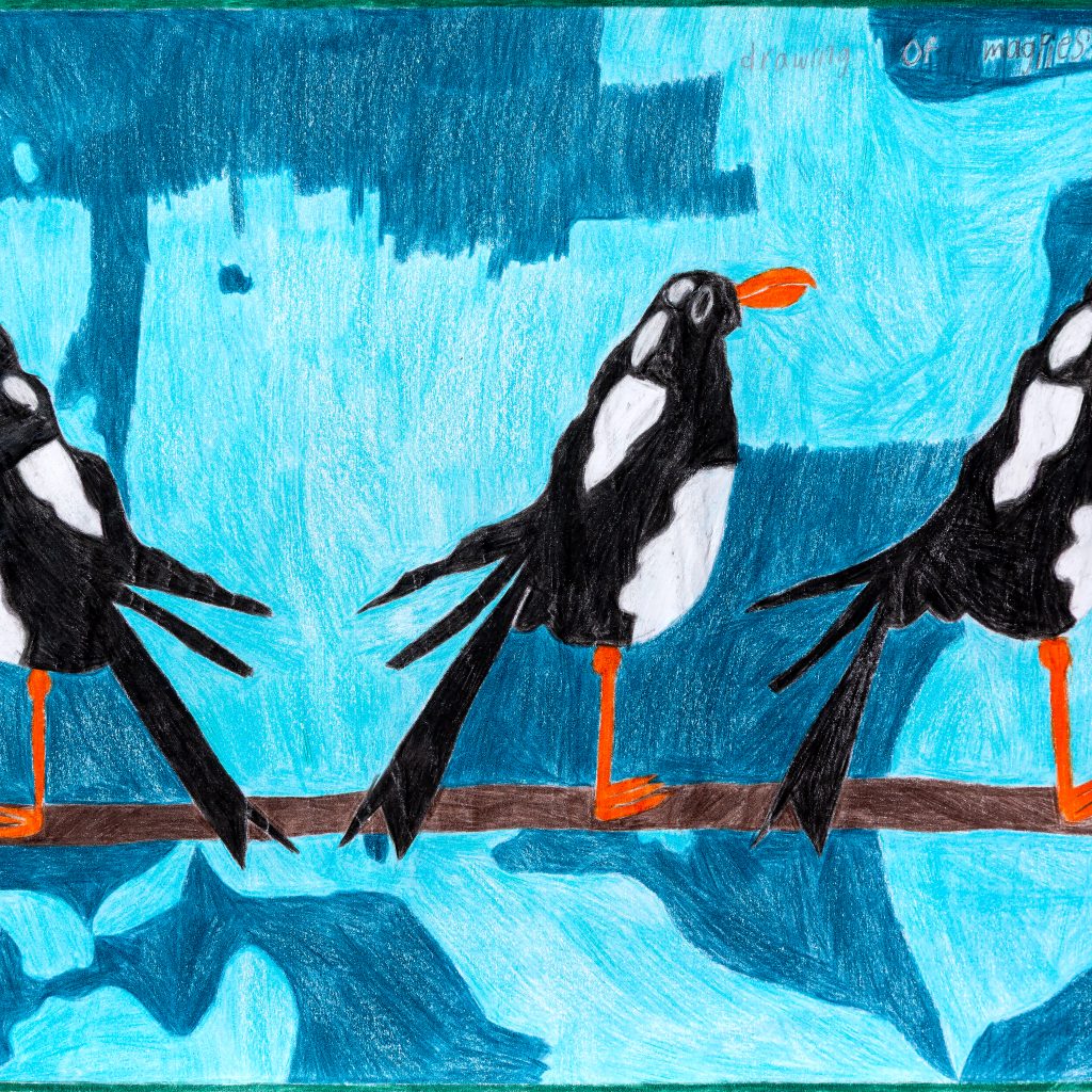 Coloured pencil drawing of three magpies perched on a branch, two looking to the right and one to the left. Behind the birds is a two-tone blue background created with unsymmetrical, abstract shapes.