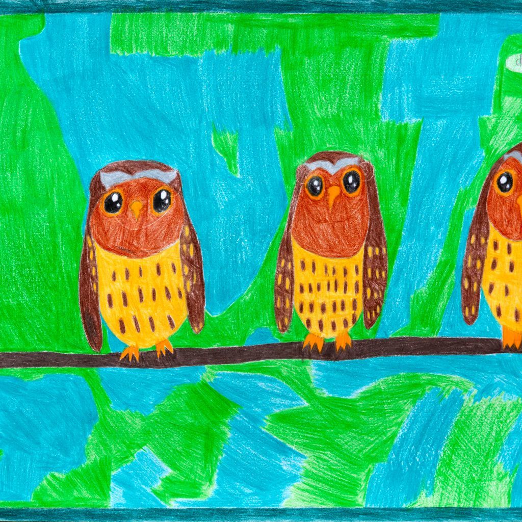 Colour pencil drawing of three owls perched on a branch - they are near identical with slight variations to their facial features making each owl unique. There is an abstract, unsymmetrical background in bright blue and green reminiscent of sky visible through a forest tree canape.