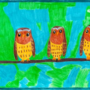 Colour pencil drawing of three owls perched on a branch - they are near identical with slight variations to their facial features making each owl unique. There is an abstract, unsymmetrical background in bright blue and green reminiscent of sky visible through a forest tree canape.