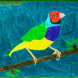 Coloured pencil drawing of a golden finch perched on a branch. The golden finch has a glowing yellow breast, blue and green colouring across it's neck and back and a red head. The bird is surrounded by deep blue background emanating the sky.