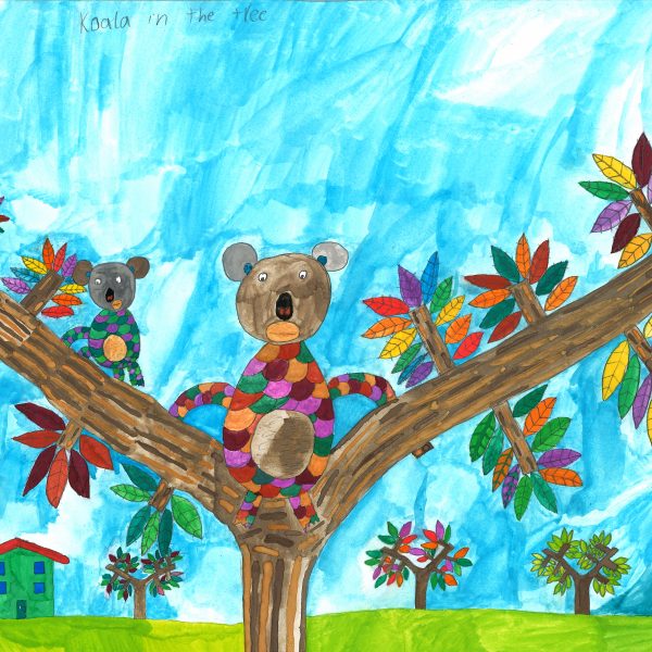 Koala In The Tree