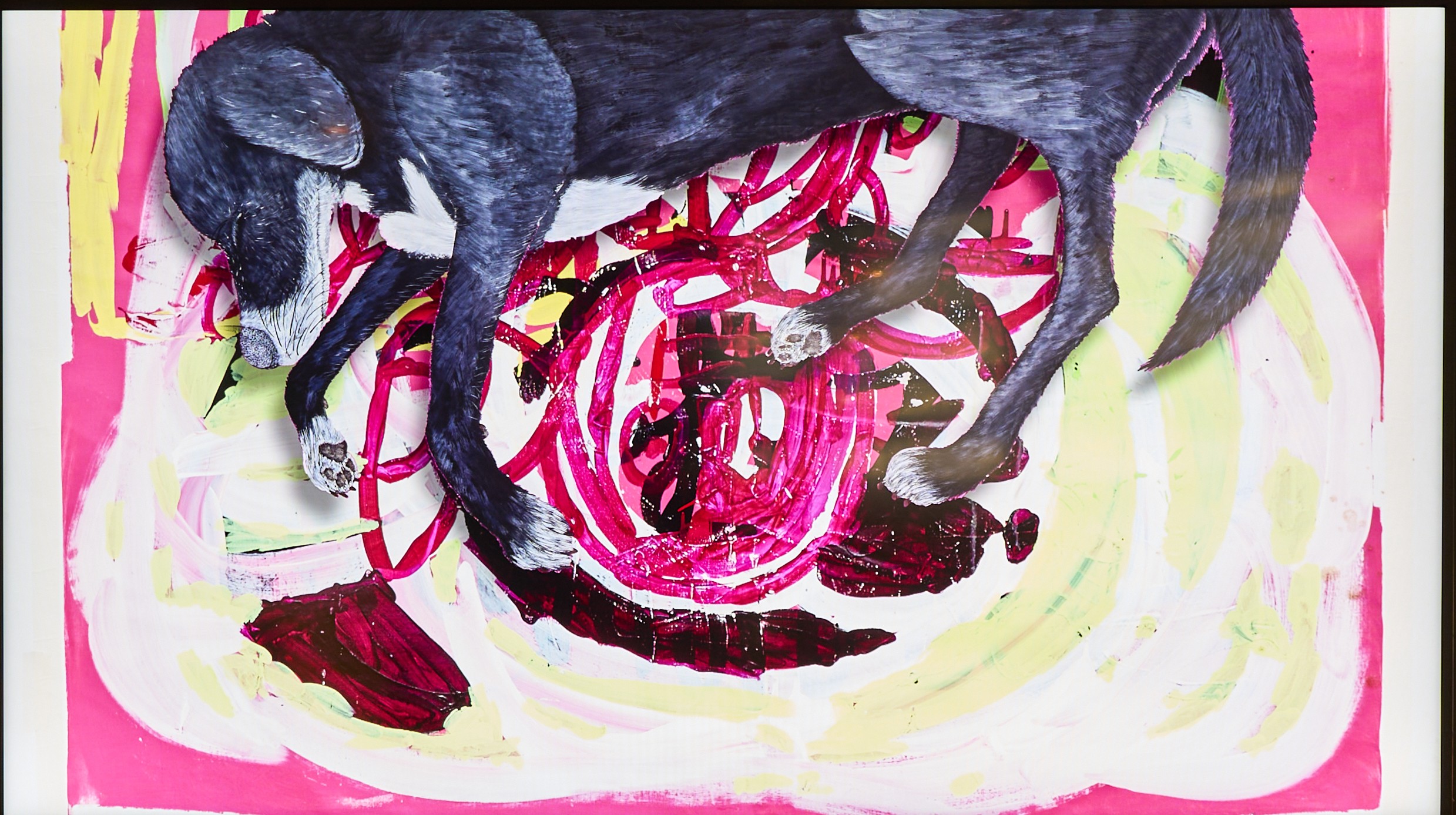 A drawing of a dog lying on an abstract artwork - two artists work digitally combined to create one piece. 