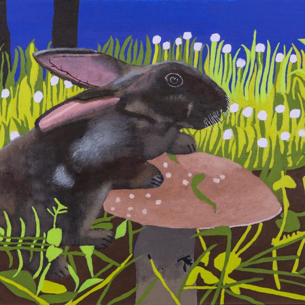 Banjobe Hunt, Rabbit on Mushroom, 2023, acrylic on canvas, 45.5cm x 61cm